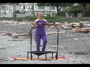 Smart Bounce Rebounder Workout with Stability Bar Part 2