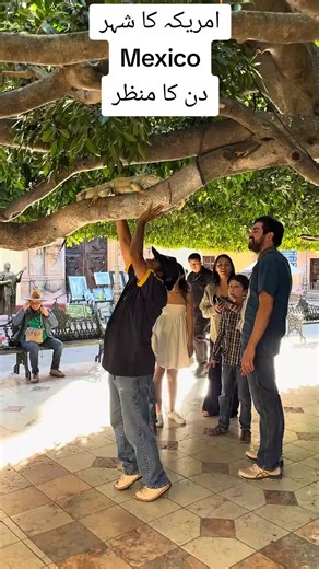 Exploring Mexico: A Day in This Vibrant City