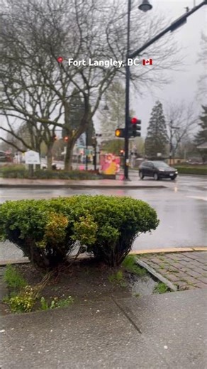 Rainy Café Morning in Fort Langley ☕ | Cozy Vibes & Jazz Guitar #jessecook #canada #relaxing