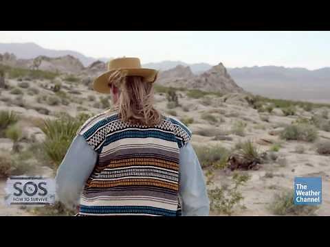 SOS: How to Survive - Hand Railing