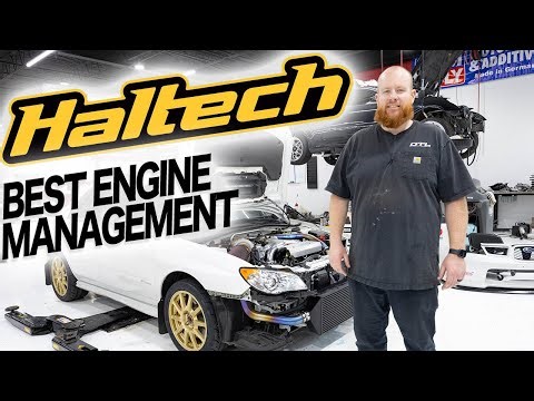 BEST FOR YOUR BUDGET - ENGINE MANAGEMENT SYSTEM (Haltech)