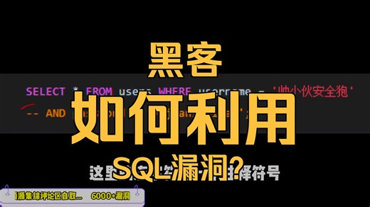 【一洞躺平半年！】SQL注入漏洞攻击刨析梳理和学习资源分享！（挖洞实现财富自由之路）