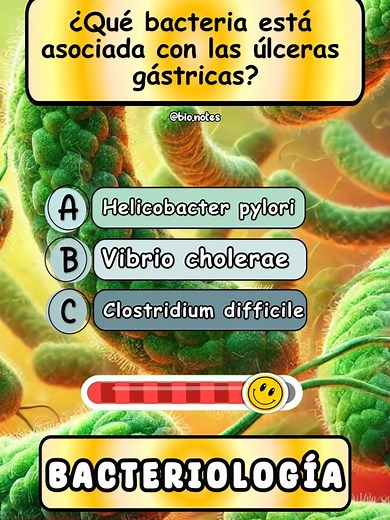 Preguntas de Bacteriología: Trivia Educativa Interactiva