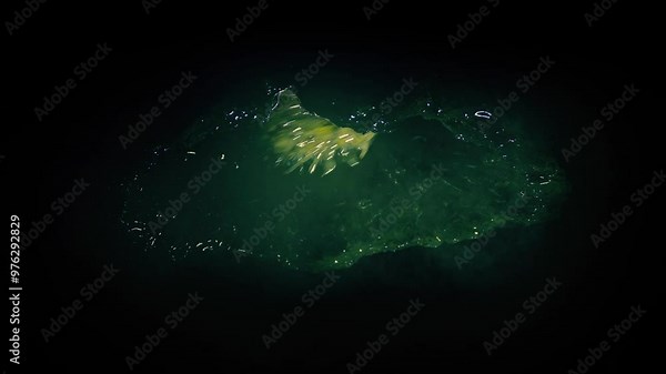 Alien Creature On Roof Lit Up With Flashlight