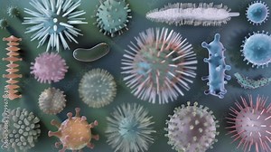 Spiky, round, rod-shaped and uniquely structured cells showcase the diverse microscopic world of viruses and bacteria.