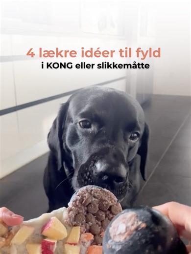 Vil du give din hund lidt ro – og noget lækkert på samme tid? 💛 Her er 4 sunde idéer til fyld i din kong eller slikkemåtte 🍌🥕🍎 Gem videoen – og skriv i kommentaren, hvad din hunds favoritfyld er 🐾 #Hundeliv #Rolighund #Slikkemåtte #lickimat #dog #Potefokus #dogtraining