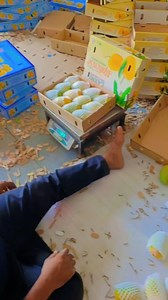 Mango Export U.S.A 3kg Packing 🥭🥭 #mango #Market #pomgranate #Alphonso #marketingdigital #mango #banana #mandi #fbpostviral #fbreelsviral #fbreels | Anil Sathvara