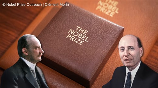 This nation of 10 million produced America’s top scientists - and no one saw it coming