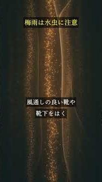梅雨に足がかゆい、水虫かもしれません