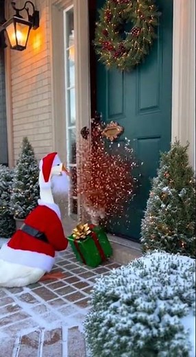 5 Crazy Porch Cam Moments That Will Leave You SPEECHLESS