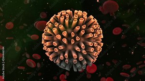 Virus cell related to herpes, polio and rabies