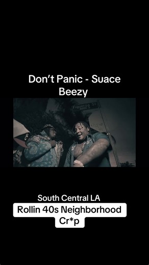 Understanding the Rollin 40s Community in South Central