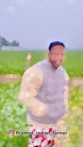434K views · 74K reactions | कम्पनीया 凉 @pramod_indian_farmer #kisan #farmer #farmerlife #company #watar #reels #trending #explore #reelitfeelit #fyp #pramod_indian_farmer #pramod_love1c #pramodlove1c | Pramod Kisan Voice | Facebook