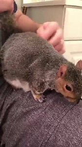 1.2M views · 19K reactions | Bath Time  #bathtime #nothappy...