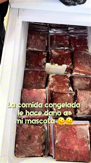 Cómo darle comida Barf a tu perro o gato correctamente