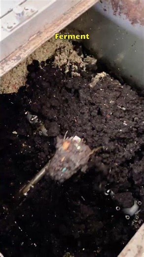 Food waste is treated into fertiliser through our compest machine.