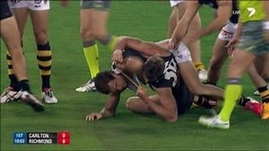 Tiger star reported in first five seconds