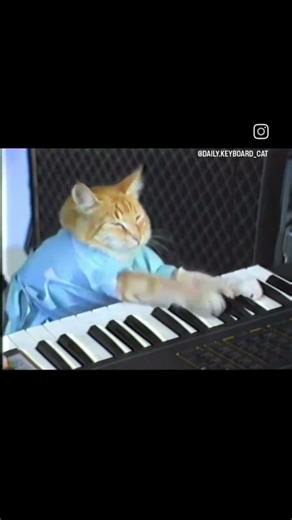 The keyboard cat from the 1980s!! #keybordcat #meme #memedaily