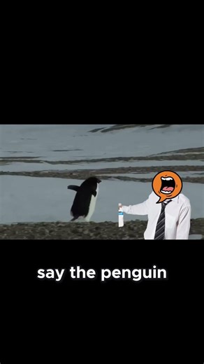 Why This Penguin Is 'Locking Out' of 2026