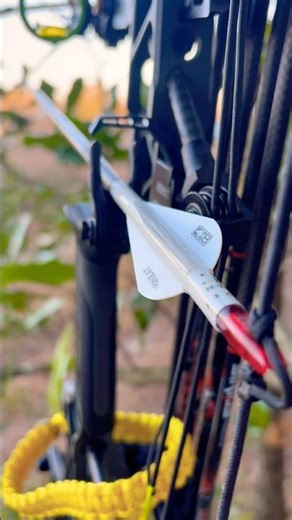 Tuned arrows ready for launch | N1 Outdoors #archery #nocktuning #arrowwraps