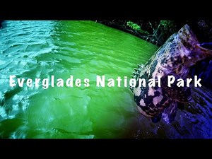 Fishing Everglades National Park (Whitewater Bay)