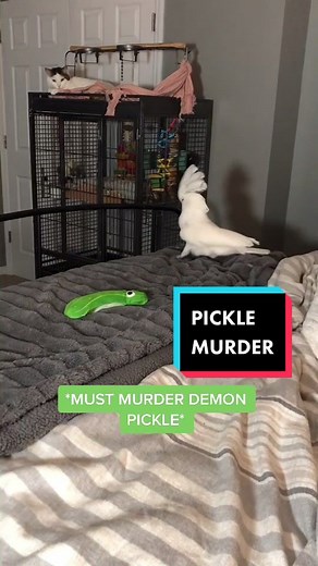 Funny Talking Parrot Toy 2000s - Hilarious Cockatoo Mimics Family Baby