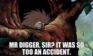 Mr Digger, sir? It was so too an accident.