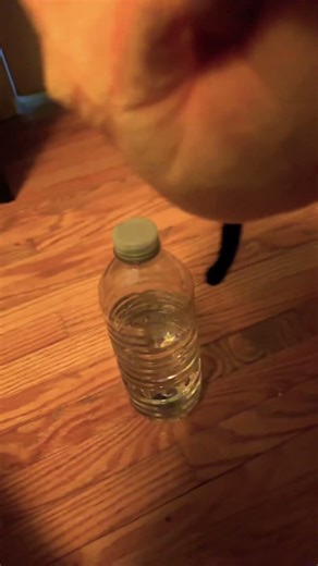 I got a firey plush! #bfdi