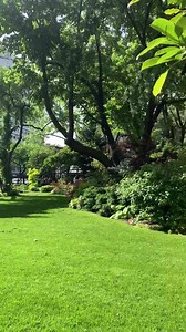 Small Gardens in NYC 💚 🏡🌳🌸🌺🌼🌲 This is the Jefferson Market Garden in the Greenwich Village — Do you recognize it? They shot a TV Series Here 👯‍♀️👯‍♀️ These small gardens are open to the public and kept by volunteers .... and provide a quiet oasis from the hustle & bustle of NYC! 💚🧡💛💙❤️💜 #newyorkcity #nycgardens #viaggiarenyc | New York Welcome