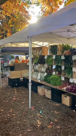 Good morning on the Amherst Common with all the fresh produce of the season!! @amherst.farmers.market #eatlocal #MAgrown | Red Fire Farm