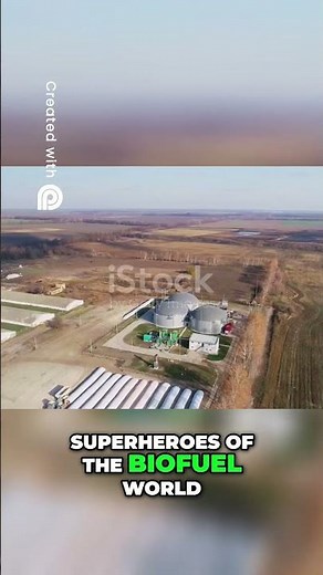 Algal Biofuels The Superheroes of Clean Energy #farming #biotechnology #science #agriculture