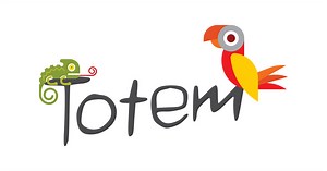 Comment Jouer au Totem | Instructions avec Video