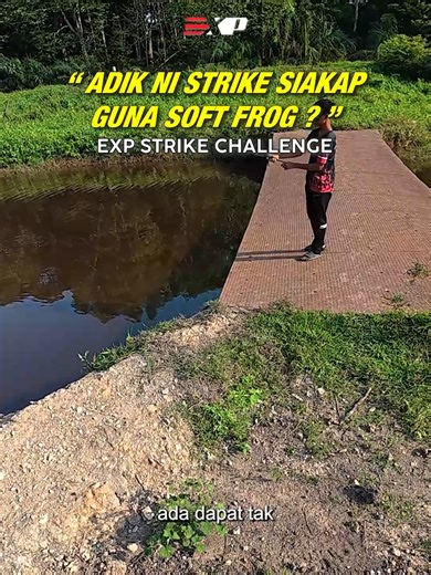 Rare Moment: Soft Frog Catches Siakap