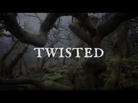Photographing the Twisted Oak Trees at Padley Gorge | Peak District Woodland Photography