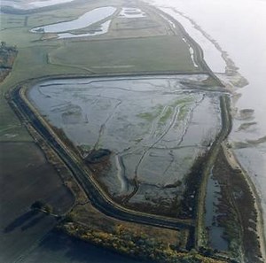 Managed Realignment Schemes