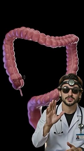 How Poop Is Formed: From Chyme to Feces | Digestive System Explained in 3D #humanbody