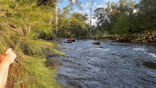 Walkabout Training on Reels