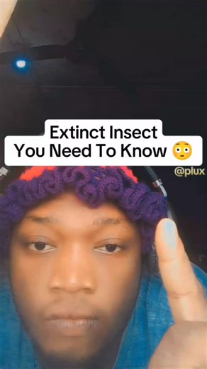 Extinct Insects You Need To Know 😳, follow up #viral #fyp #pageforyou❤️ #pluxtv #viralvideos #goviral #trending #terrifying #reels | Micheal Nwankwo