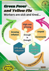 14K views · 249 reactions | ‍ Teacher-turned-vegan-chef and...