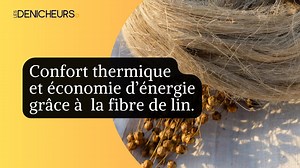 La fibre de lin en isolation : confort thermique et économie dénergie !