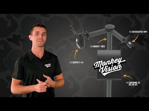 How Does Monkey Vision Compare?