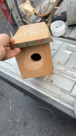 Mink boxes save time, fur, and headaches #trapping #outdoors #weasel #minks #alaska #god