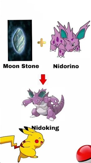 REAL POWER OF STONES?“ONE STONE = NEW FORM! ⚡#pokemon #youtubeshorts