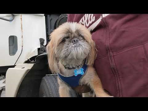 C12 caterpillar engine oil change / air filter replacement