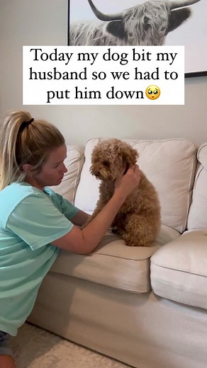 We’ll get through this 😭 #goldendoodle #dogs #poodle #goldensoftiktok #puppy #fyp #truecrime #truecrimetiktok