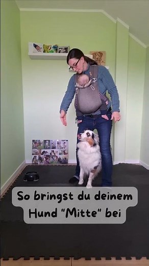 So lernt dein Hund den Trick "Mitte" | Hunden Tricks beibringen