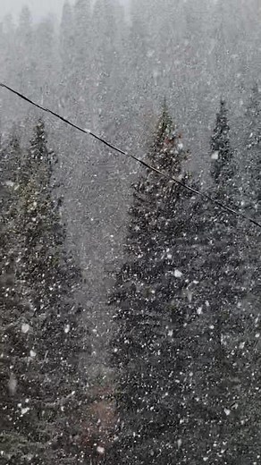 Updated❄️😁❄️ | Tall Pine Resort