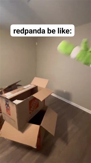 116K views · 6.7K reactions | Redpanda be like: | Fursuits & Randoms | Facebook