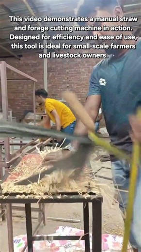 Manual Straw and Forage Cutter: Efficient Farm Tool for Small-Scale Livestock Feeding