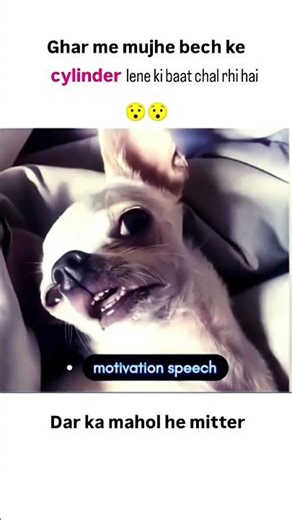 dar ka mahol hai mitter